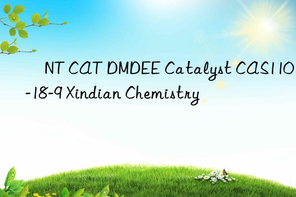 nt cat dmdee catalyst cas110-18-9 xindian chemistry