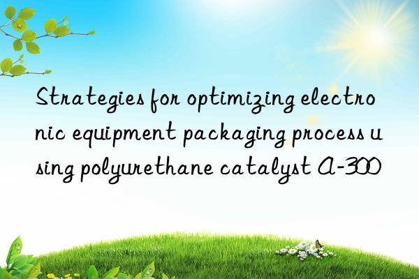 strategies for optimizing electronic equipment packaging process using polyurethane catalyst a-300