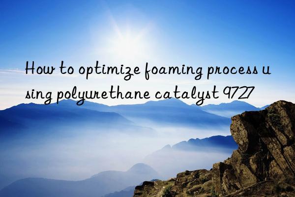 how to optimize foaming process using polyurethane catalyst 9727