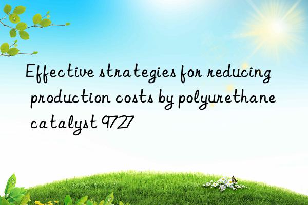 effective strategies for reducing production costs by polyurethane catalyst 9727