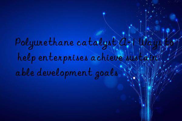 polyurethane catalyst a-1 ways to help enterprises achieve sustainable development goals