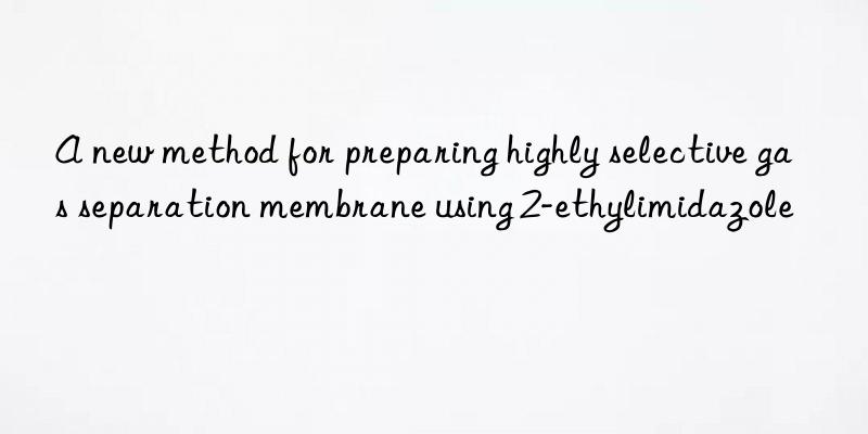 a new method for preparing highly selective gas separation membrane using 2-ethylimidazole