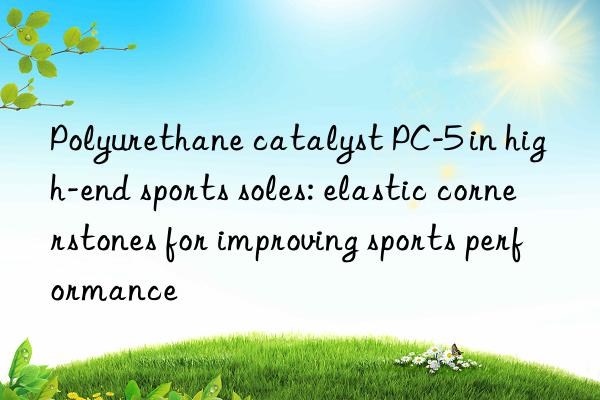 polyurethane catalyst pc-5 in high-end sports soles: elastic cornerstones for improving sports performance