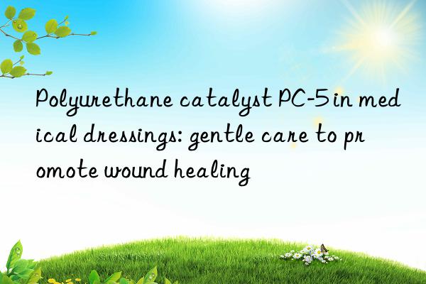 polyurethane catalyst pc-5 in medical dressings: gentle care to promote wound healing