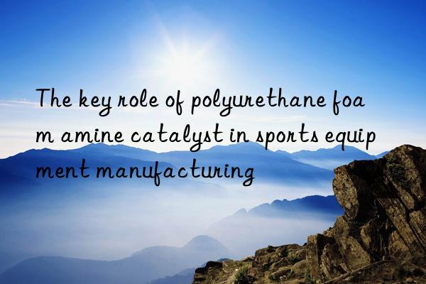 the key role of polyurethane foam amine catalyst in sports equipment manufacturing
