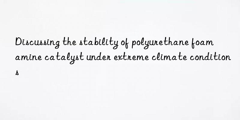 discussing the stability of polyurethane foam amine catalyst under extreme climate conditions