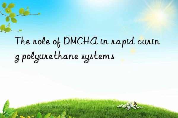 the role of dmcha in rapid curing polyurethane systems