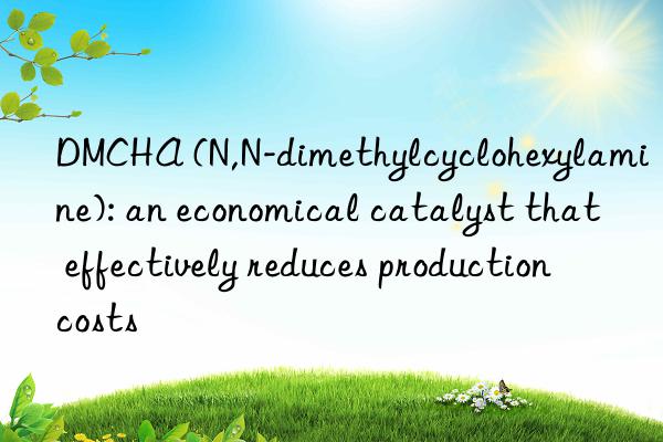 dmcha (n,n-dimethylcyclohexylamine): an economical catalyst that effectively reduces production costs