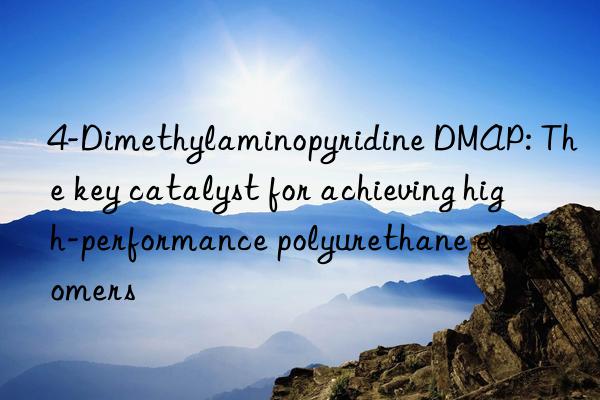 4-dimethylaminopyridine dmap: the key catalyst for achieving high-performance polyurethane elastomers