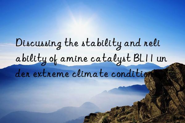 discussing the stability and reliability of amine catalyst bl11 under extreme climate conditions