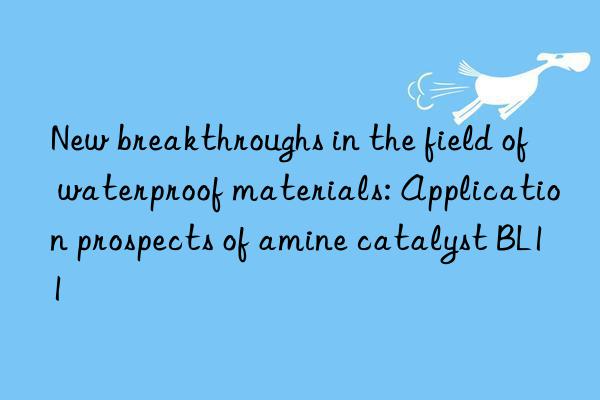 new breakthroughs in the field of waterproof materials: application prospects of amine catalyst bl11