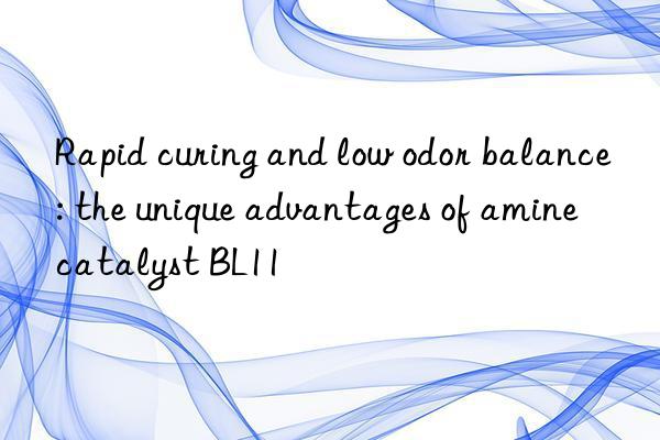 rapid curing and low odor balance: the unique advantages of amine catalyst bl11