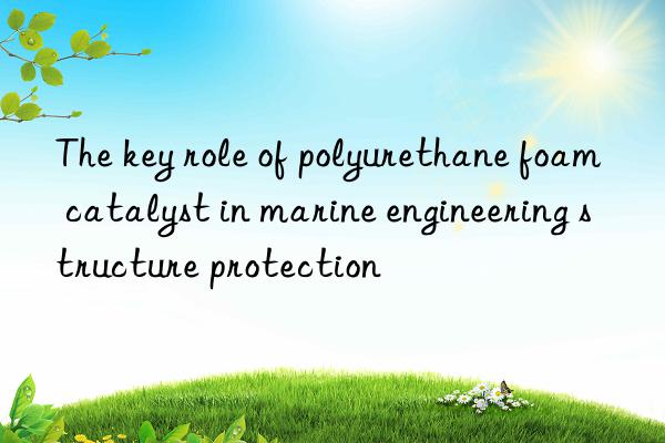 the key role of polyurethane foam catalyst in marine engineering structure protection