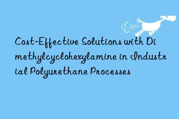 cost-effective solutions with dimethylcyclohexylamine in industrial polyurethane processes