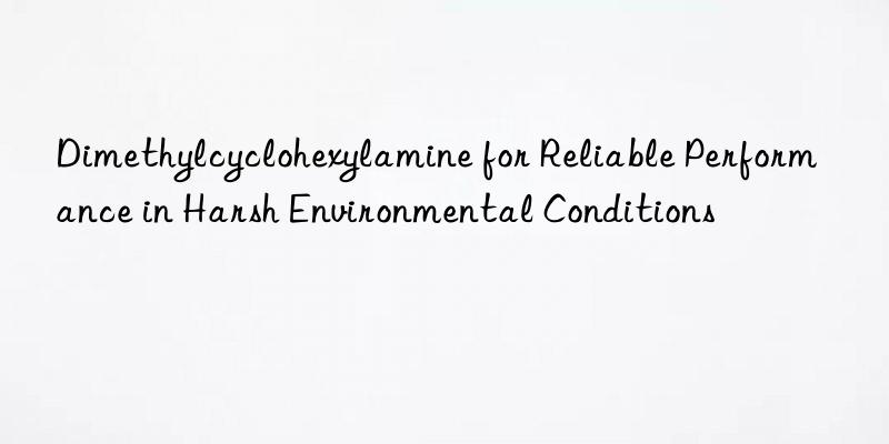 dimethylcyclohexylamine for reliable performance in harsh environmental conditions