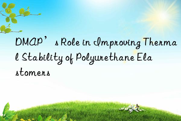 dmap’s role in improving thermal stability of polyurethane elastomers