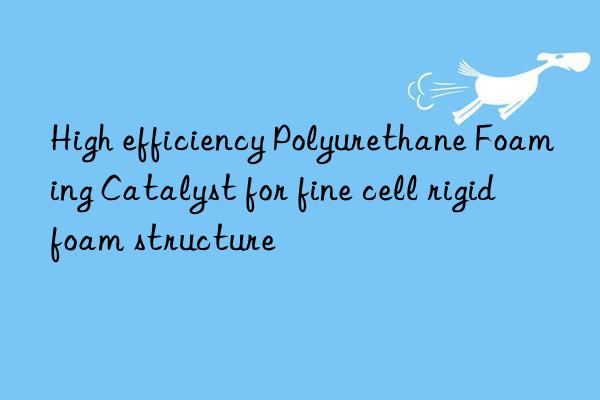 high efficiency polyurethane foaming catalyst for fine cell rigid foam structure