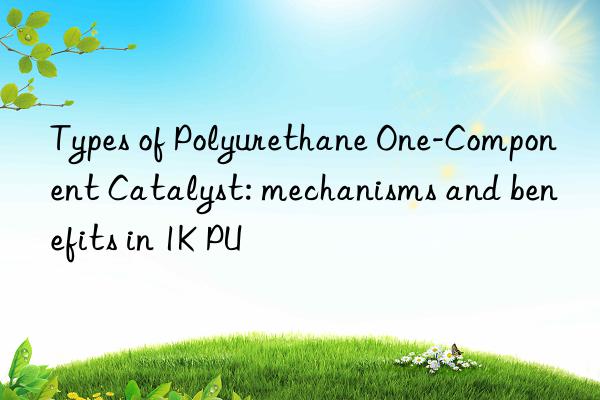 types of polyurethane one-component catalyst: mechanisms and benefits in 1k pu