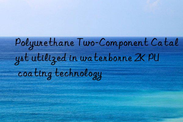 polyurethane two-component catalyst utilized in waterborne 2k pu coating technology
