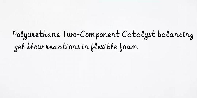 polyurethane two-component catalyst balancing gel blow reactions in flexible foam