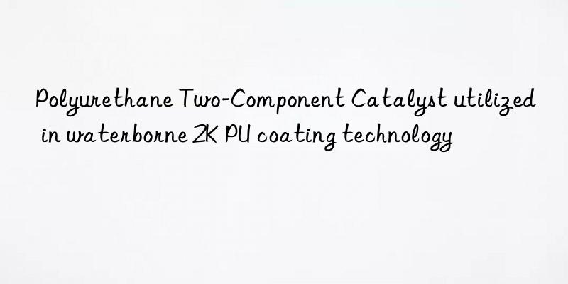 polyurethane two-component catalyst utilized in waterborne 2k pu coating technology