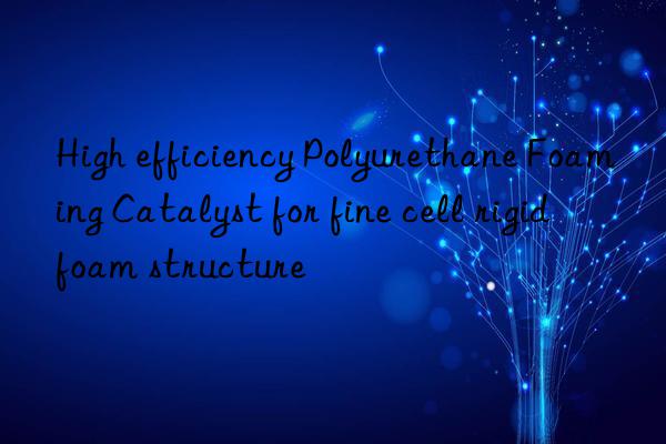 high efficiency polyurethane foaming catalyst for fine cell rigid foam structure