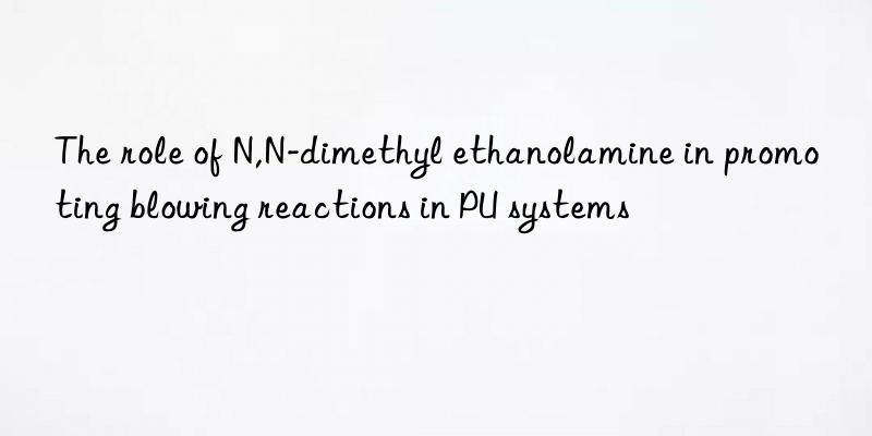 the role of n,n-dimethyl ethanolamine in promoting blowing reactions in pu systems