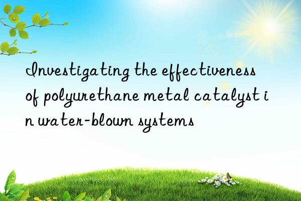 investigating the effectiveness of polyurethane metal catalyst in water-blown systems