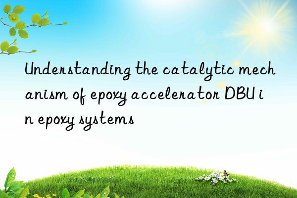understanding the catalytic mechanism of epoxy accelerator dbu in epoxy systems