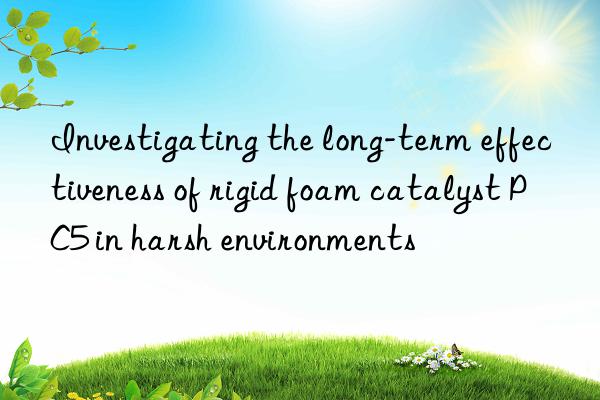 investigating the long-term effectiveness of rigid foam catalyst pc5 in harsh environments