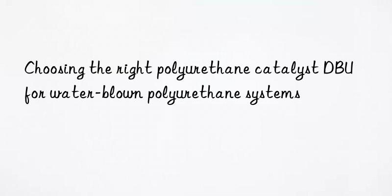 choosing the right polyurethane catalyst dbu for water-blown polyurethane systems