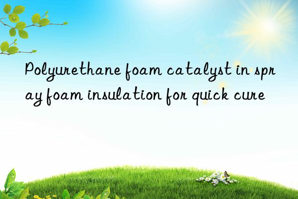 polyurethane foam catalyst in spray foam insulation for quick cure