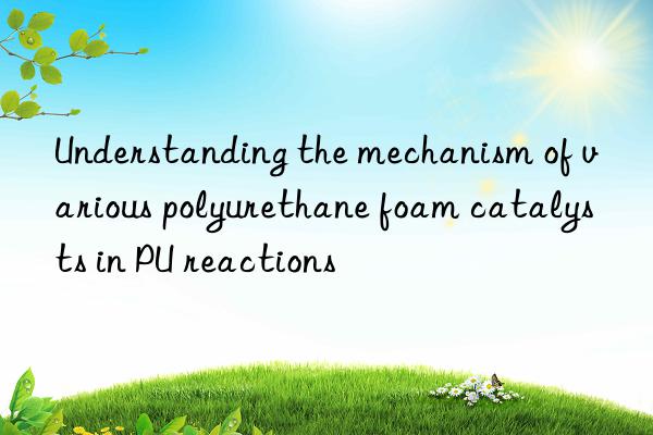 understanding the mechanism of various polyurethane foam catalysts in pu reactions