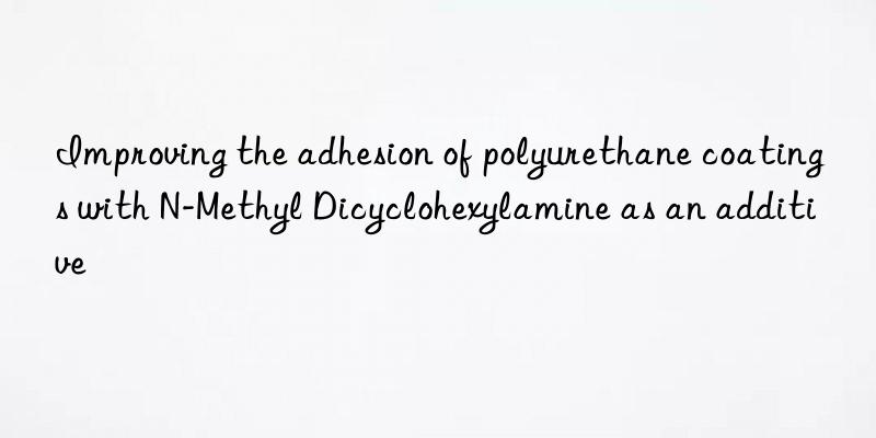 improving the adhesion of polyurethane coatings with n-methyl dicyclohexylamine as an additive