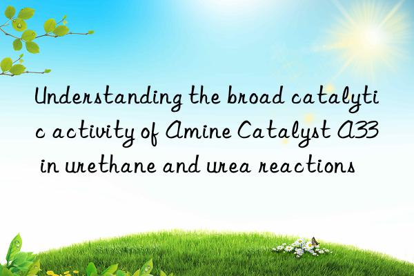 understanding the broad catalytic activity of amine catalyst a33 in urethane and urea reactions