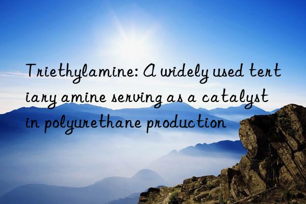 triethylamine: a widely used tertiary amine serving as a catalyst in polyurethane production