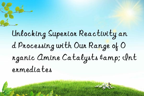 unlocking superior reactivity and processing with our range of organic amine catalysts & intermediates