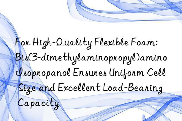 For High-Quality Flexible Foam: Bis(3-dimethylaminopropyl)amino Isopropanol Ensures Uniform Cell Size and Excellent Load-Bearing Capacity