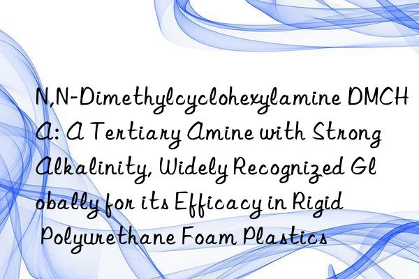 N,N-Dimethylcyclohexylamine DMCHA: A Tertiary Amine with Strong Alkalinity, Widely Recognized Globally for its Efficacy in Rigid Polyurethane Foam Plastics