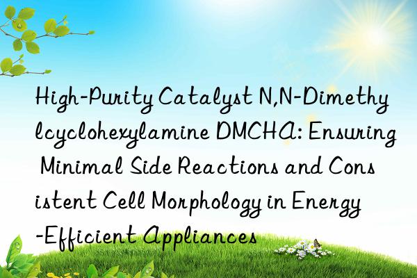 High-Purity Catalyst N,N-Dimethylcyclohexylamine DMCHA: Ensuring Minimal Side Reactions and Consistent Cell Morphology in Energy-Efficient Appliances