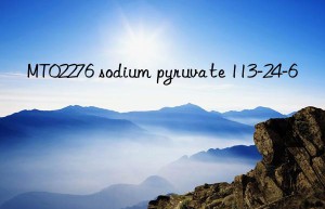 mt02276 sodium pyruvate 113-24-6