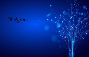 dl-lysine