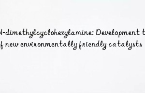 n,n-dimethylcyclohexylamine: development trend of new environmentally friendly catalysts
