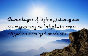 advantages of high-efficiency reactive foaming catalysts in personalized customized products