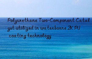 polyurethane two-component catalyst utilized in waterborne 2k pu coating technology