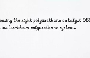 choosing the right polyurethane catalyst dbu for water-blown polyurethane systems
