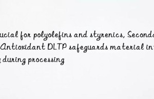 crucial for polyolefins and styrenics, secondary antioxidant dltp safeguards material integrity during processing