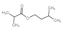 isoamyl isobutyrate