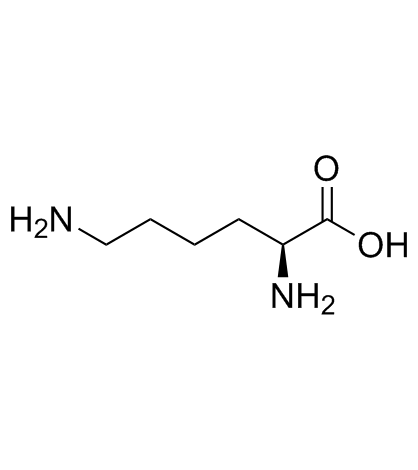l-lysine