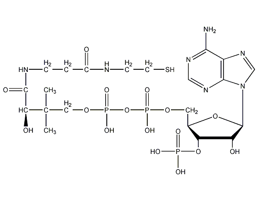 coenzyme a structural formula